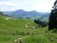 Zufallsbild