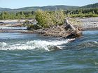 Rafting auf dem Snake River